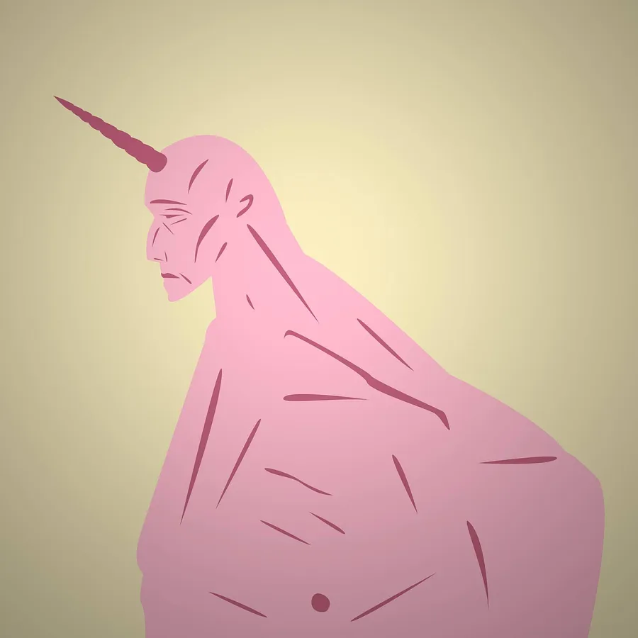 The Man Who Became a Unicorn (2024)
