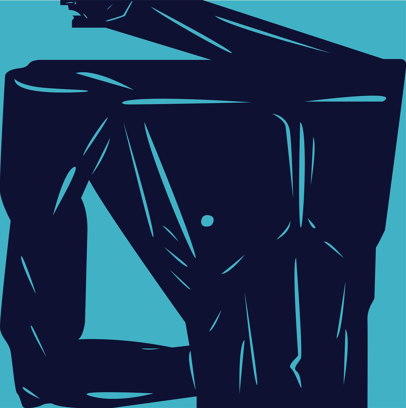 Body Aesthetics