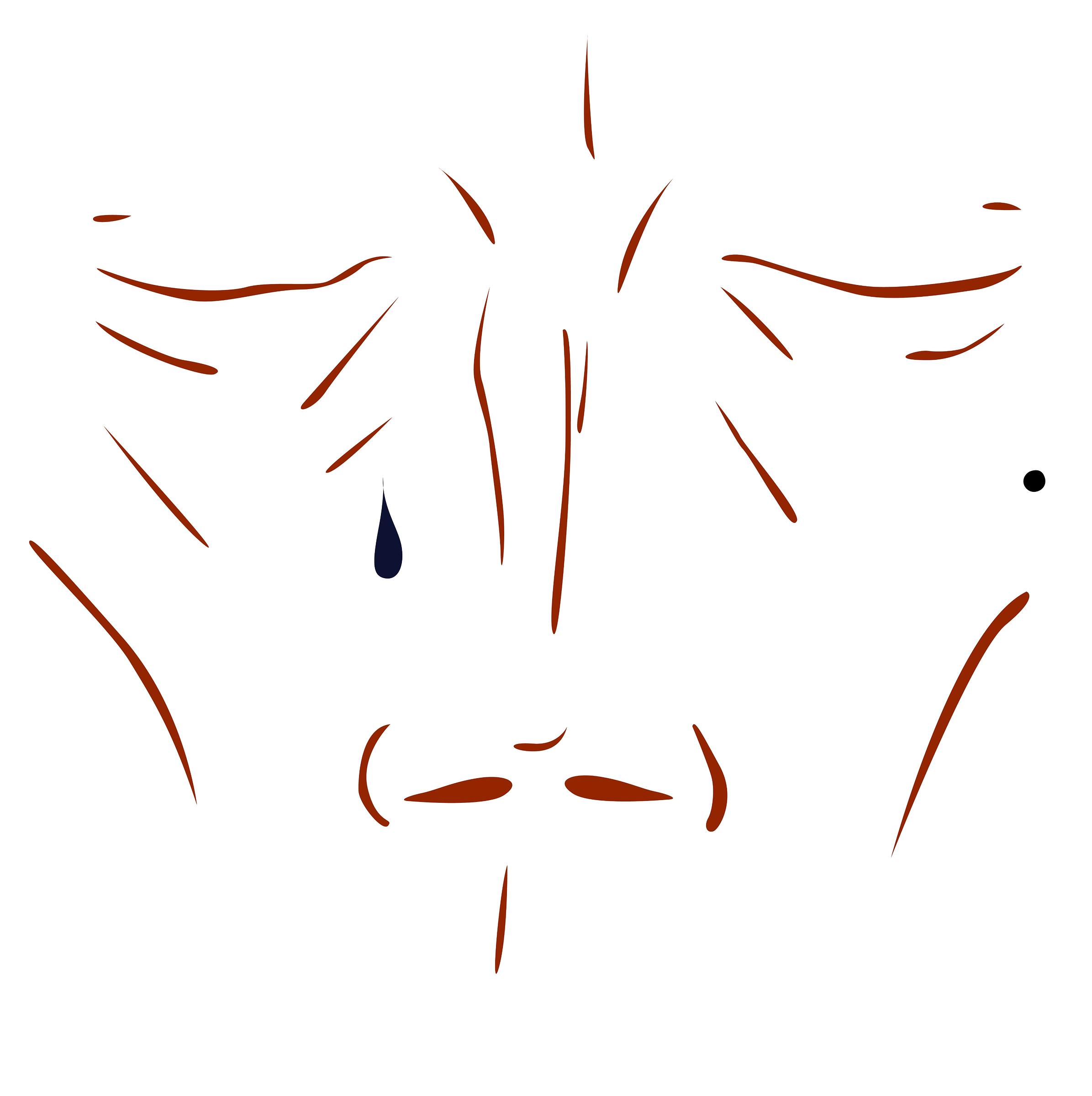 Sad Face
