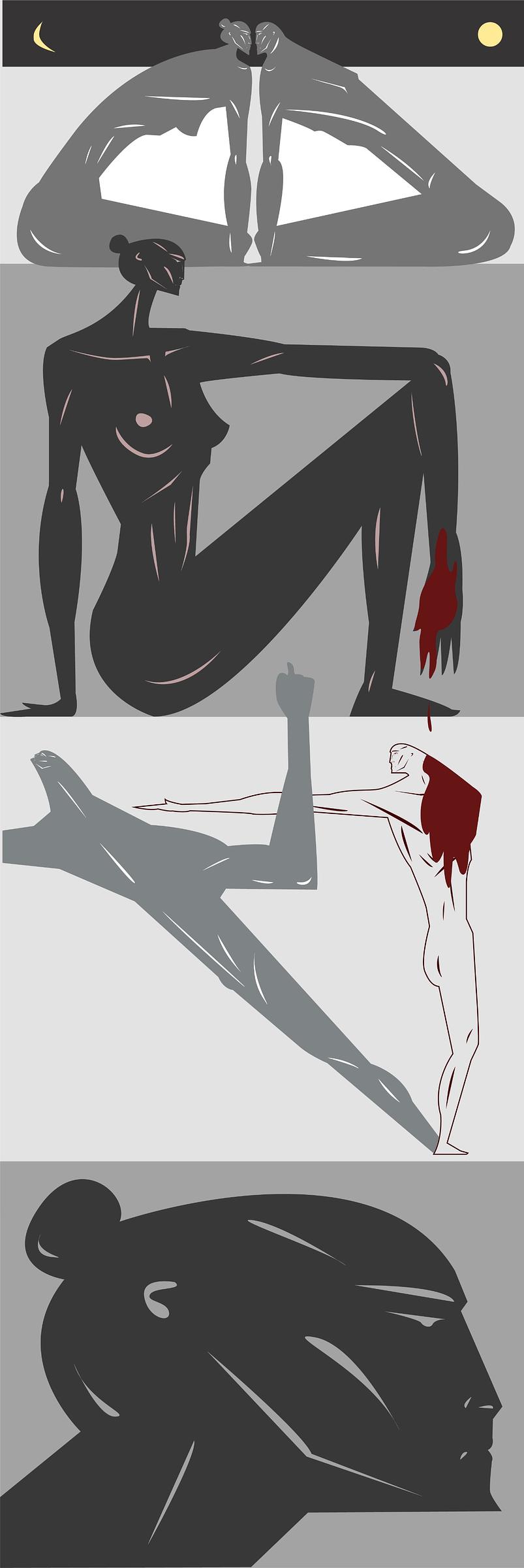 Wild Story